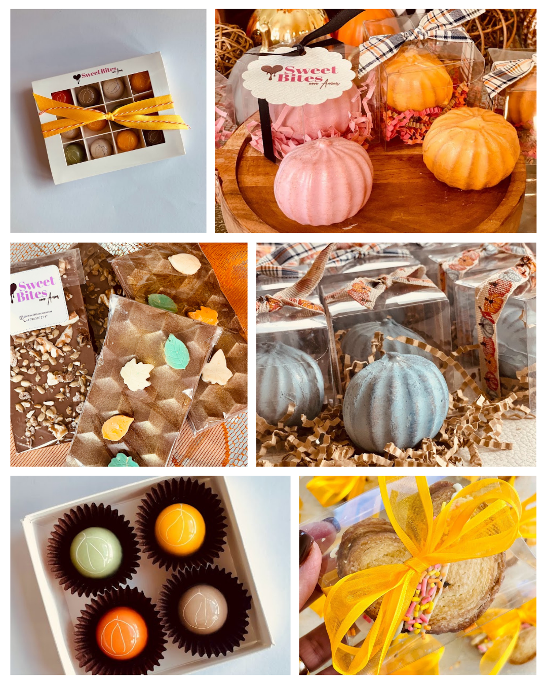 Fall Collection